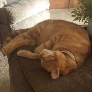 Meet your Posher, Stacey